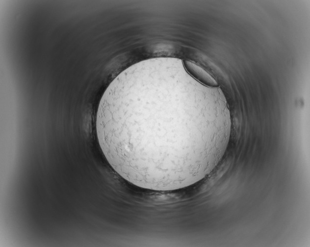 X0000093410379200711091403