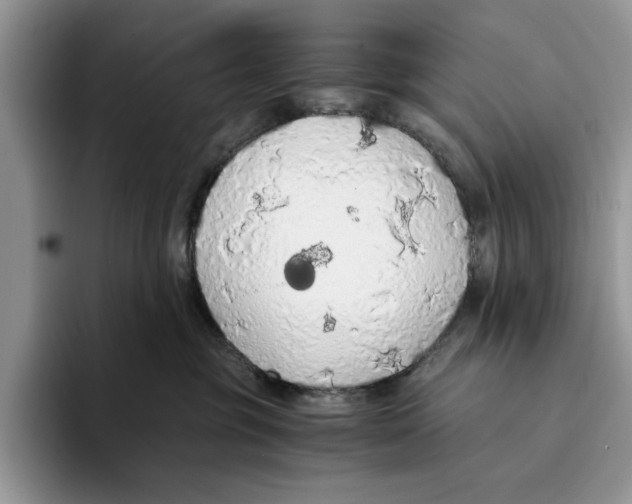 X0000093410381200711091403