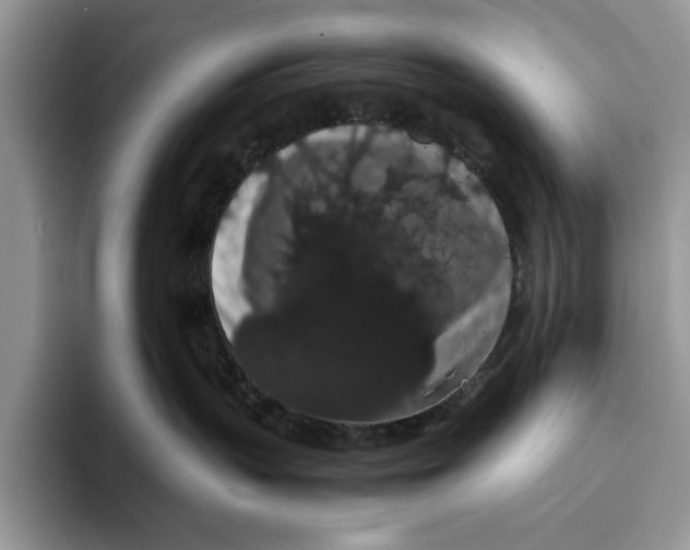 X0000093410383200711091403