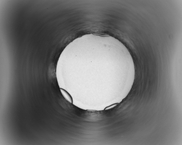 X0000093410384200711091403