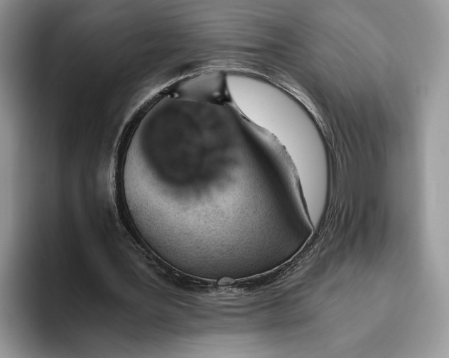 X0000093410387200711091403