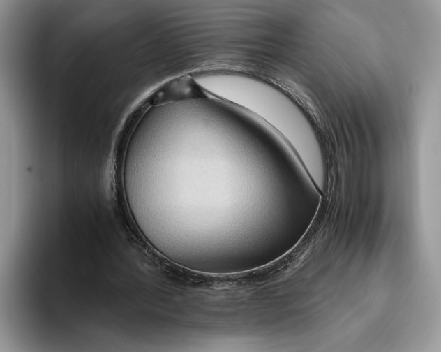 X0000093410388200711091403