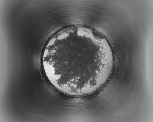 X0000093410390200711091403