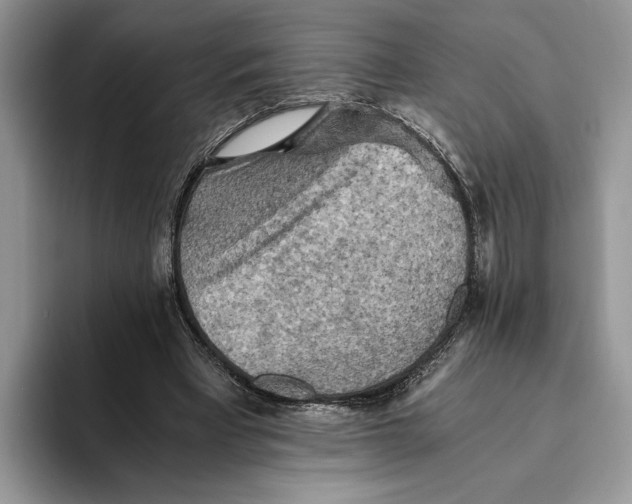 X0000093410393200711091403