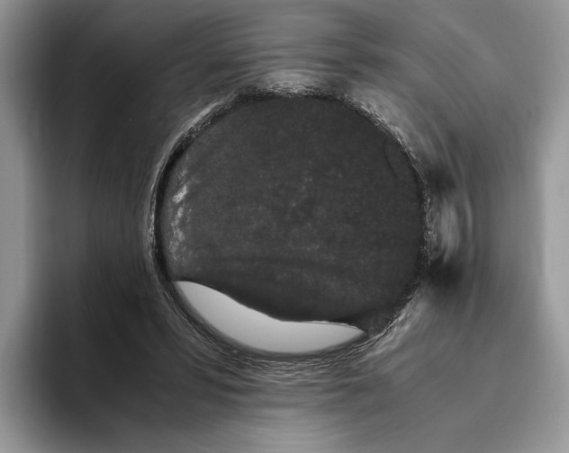 X0000093410399200711091403