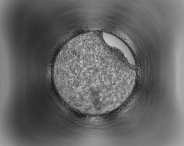 X0000093410401200711091403