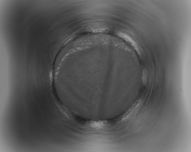 X0000093410405200711091403