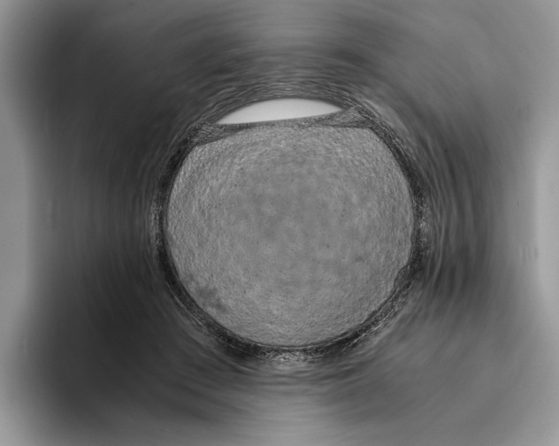 X0000093410409200711091403