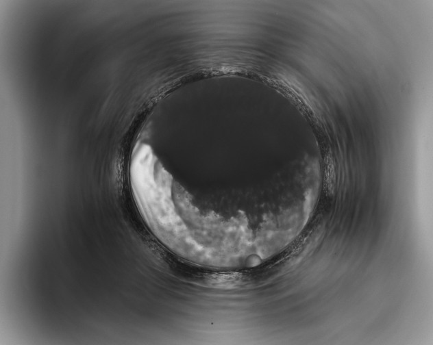 X0000093410410200711091403