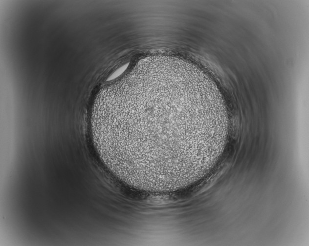 X0000093410413200711091403