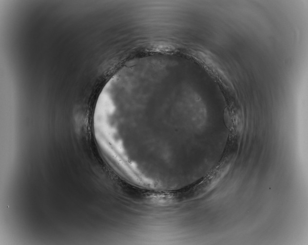 X0000093410415200711091403