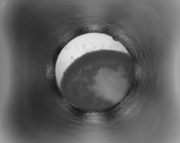 X0000093410419200711091402