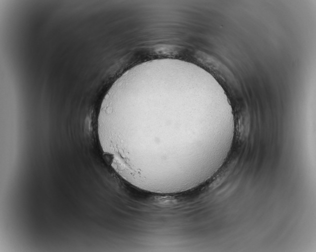 X0000093410424200711091402