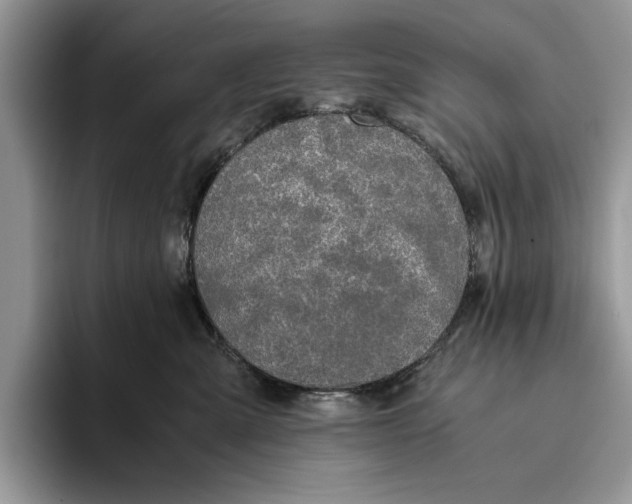 X0000093410427200711091402