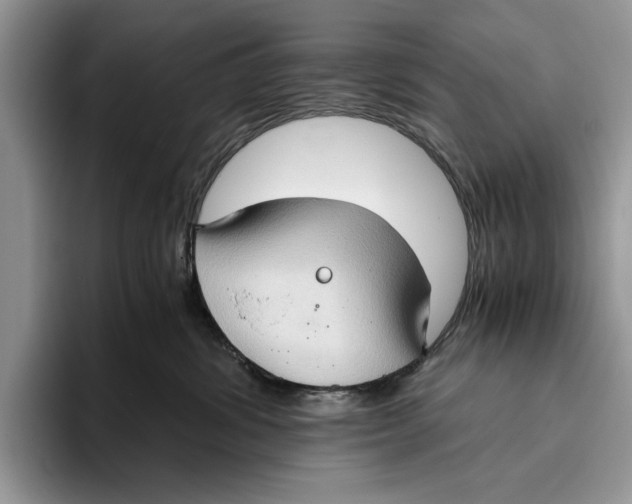 X0000093410428200711091402