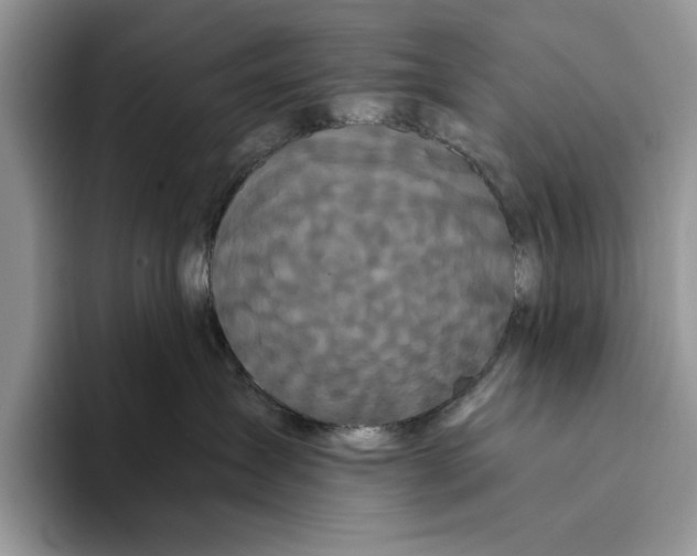 X0000093410431200711091402