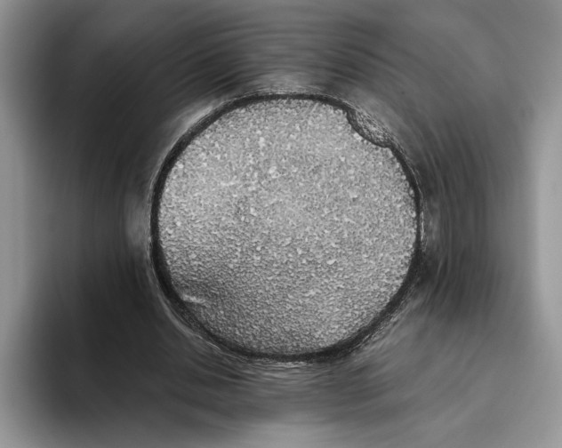 X0000093410438200711091402