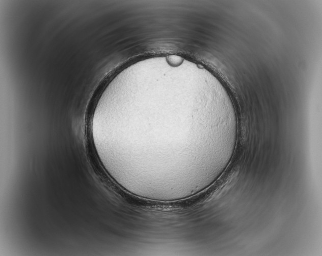 X0000093410439200711091402