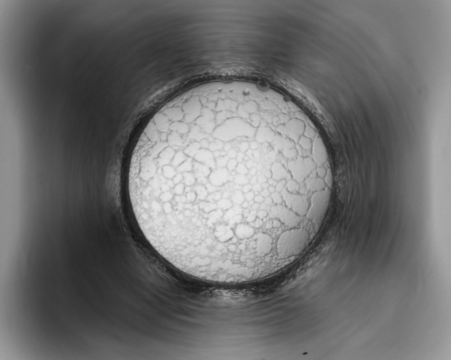 X0000093410442200711091402