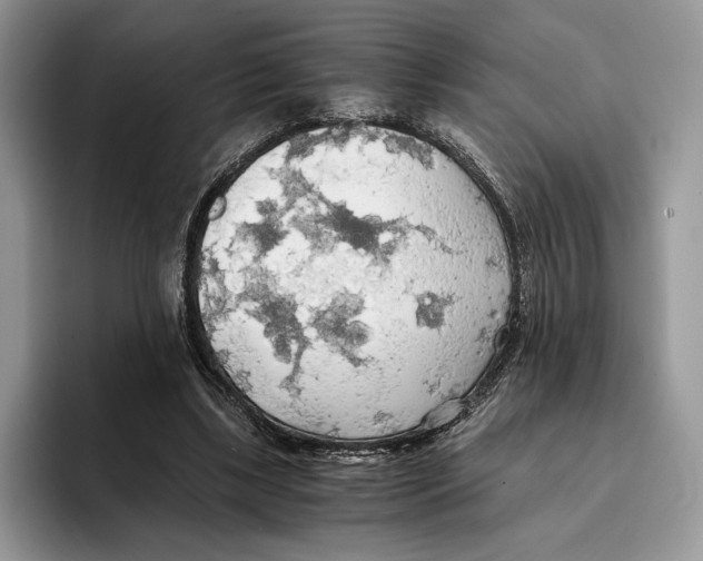 X0000093410443200711091402