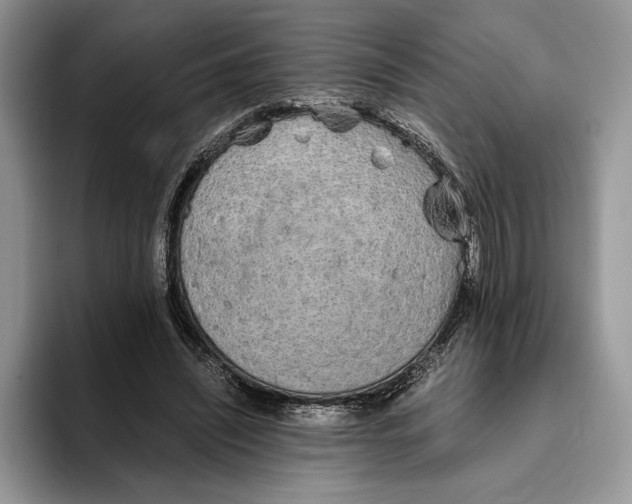 X0000093410444200711091402