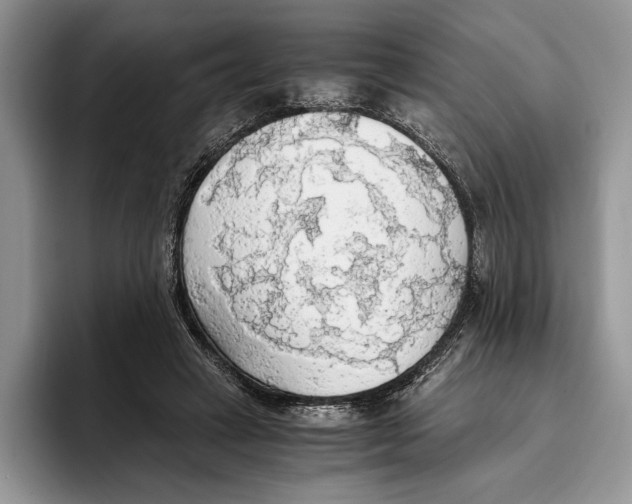 X0000093410449200711091402