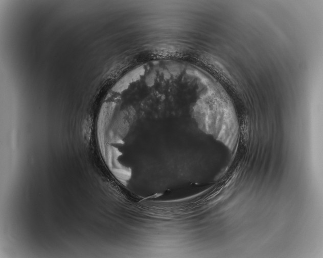 X0000093410458200711091402