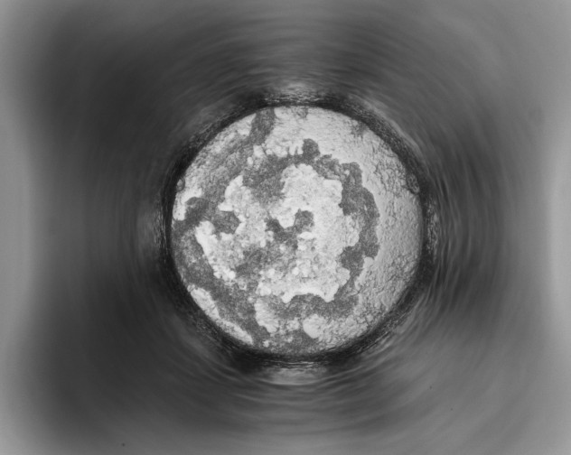 X0000093410459200711091402