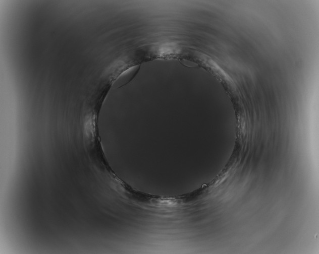 X0000093410475200711091402