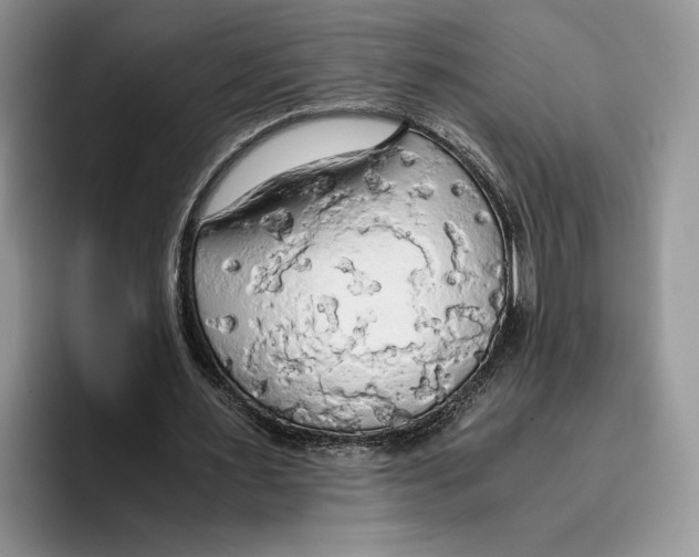 X0000093410483200711091402