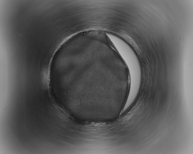 X0000093410484200711091402