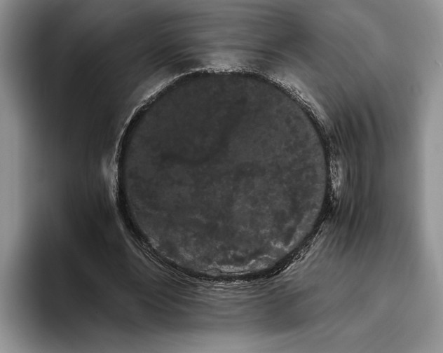 X0000093410488200711091402