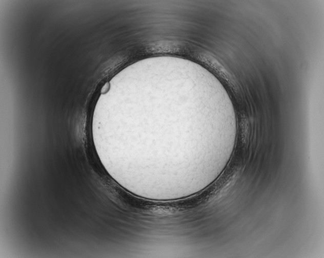 X0000093410490200711091402