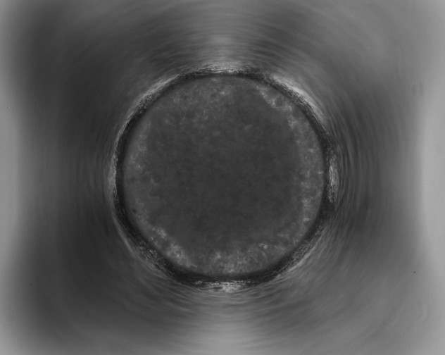 X0000093410492200711091402