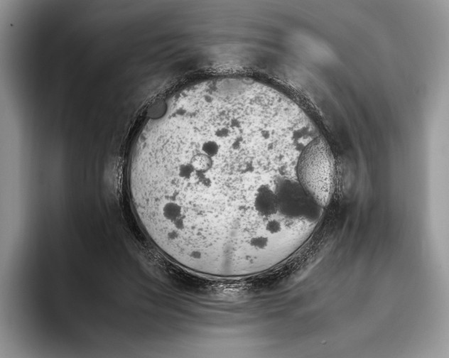 X0000093410495200711091402