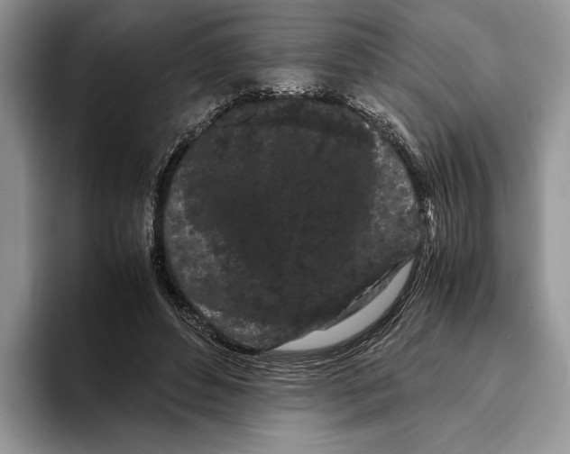 X0000093410496200711091402