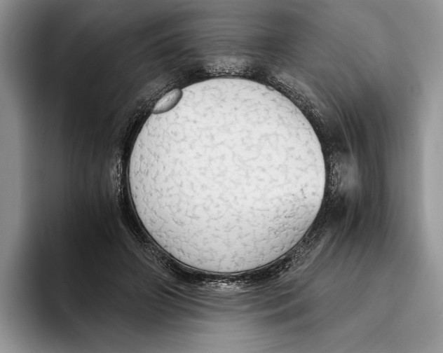 X0000093410498200711091402