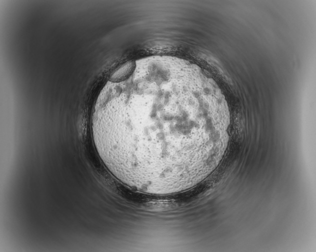 X0000093410499200711091402