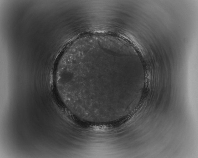 X0000093410500200711091402