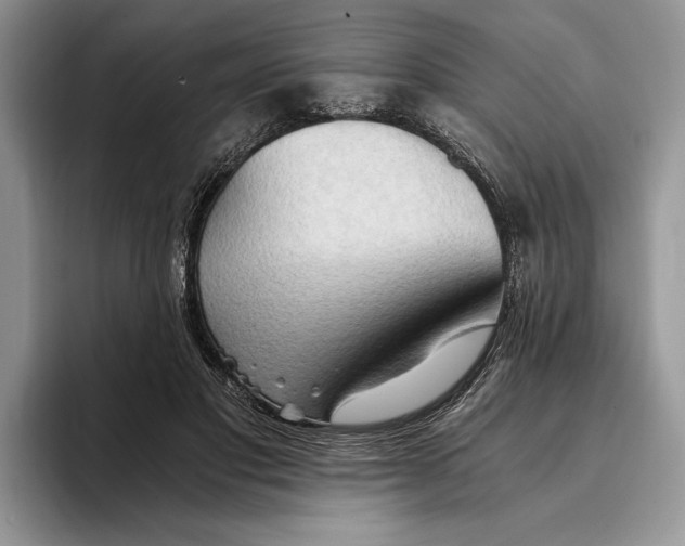 X0000093410501200711091402