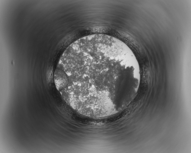 X0000093410502200711091402