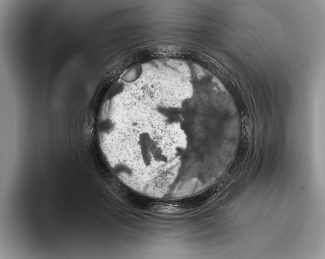 X0000093410507200711091401