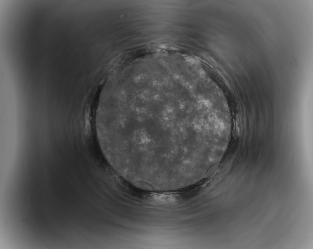 X0000093410520200711091401