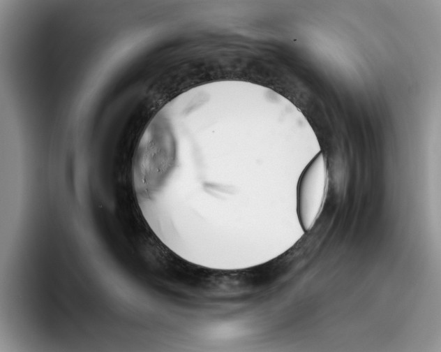 X0000093410526200711091401