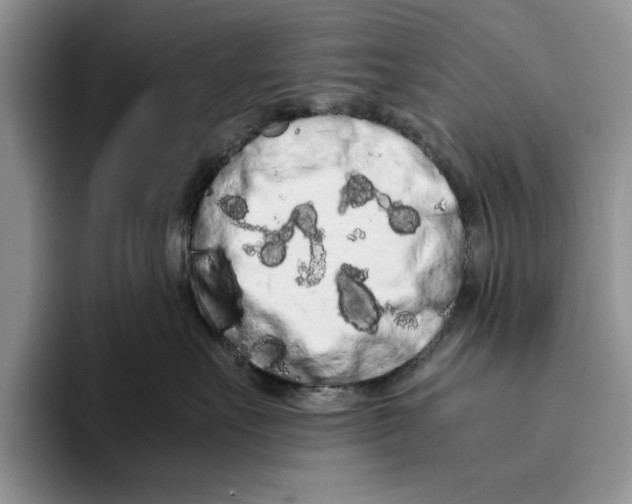 X0000093410527200711091401