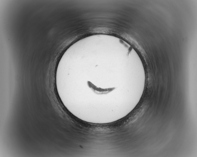 X0000093410529200711091401