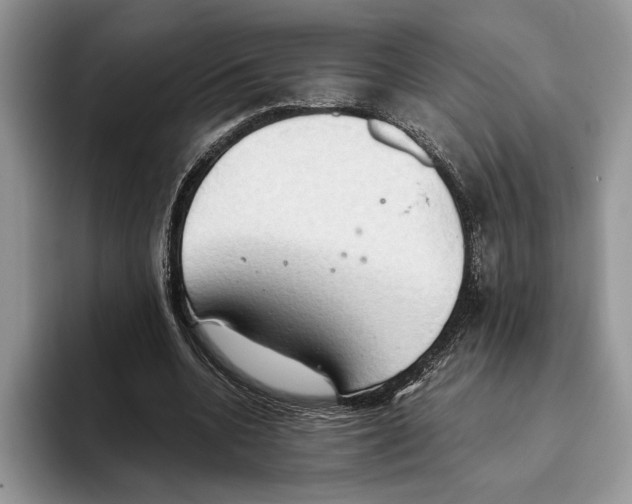 X0000093410536200711091401