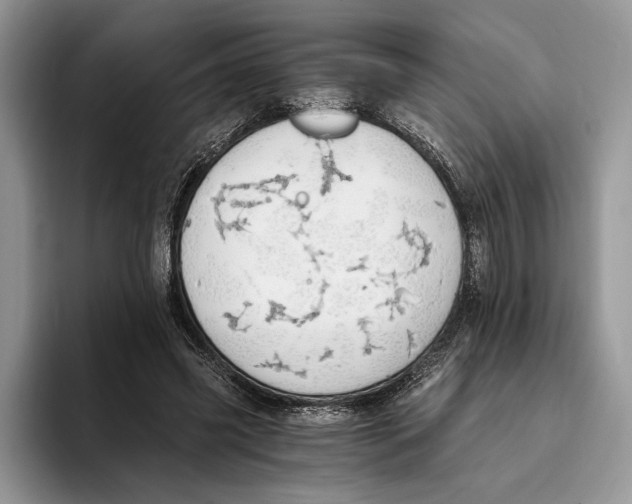 X0000093410541200711091401