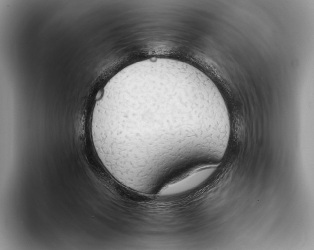 X0000093410543200711091401