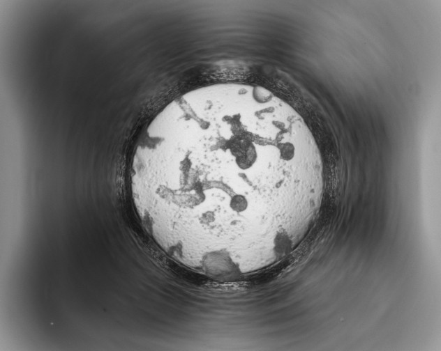 X0000093410553200711091401